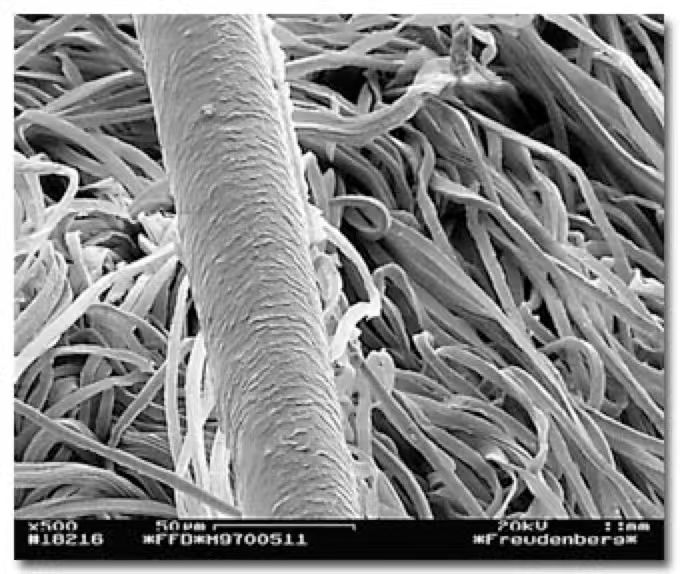 1757400519424031.jpg 微信圖片_20250909141053_15_221.jpg