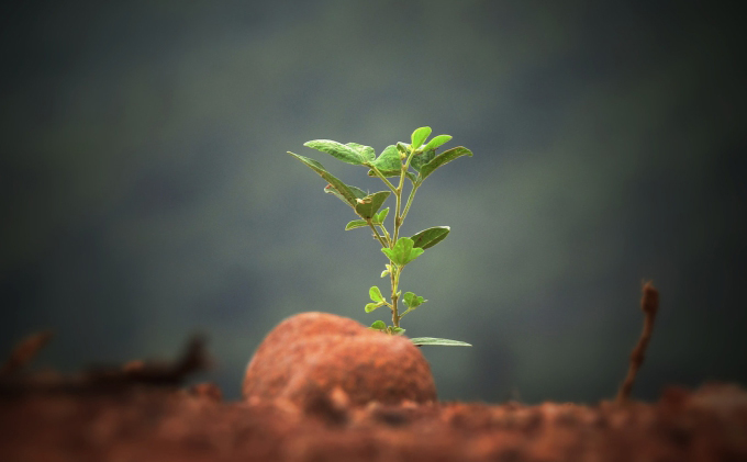 1713929157252597.jpg 1713929028711178.jpg